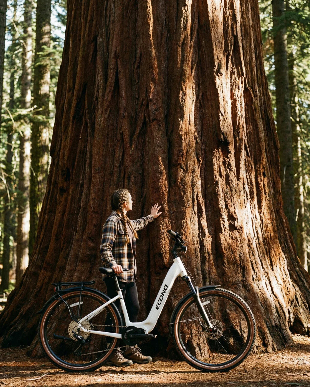 Bijeli električni bicikl Econo Gams SUV 29 pored ženske osobe u šumi kraj velikog stabla