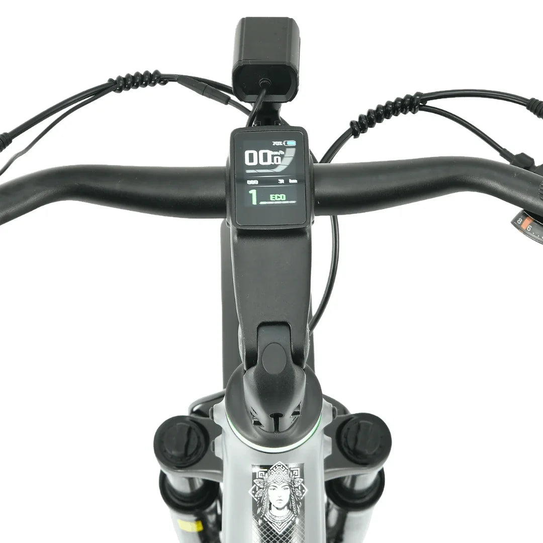 Električni bicikl MS Energy Mokosha
