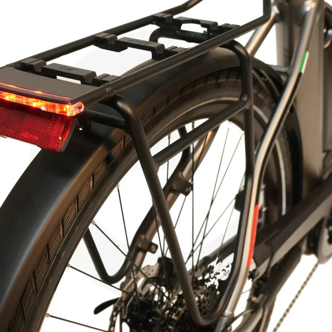 Električni bicikl MALAGUTI Bolonina-BOSCH Motor