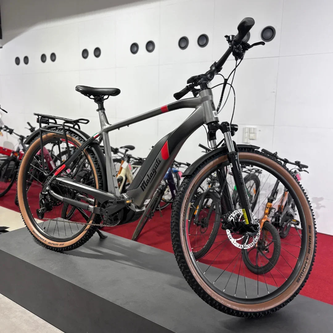 Električni bicikl MALAGUTI Carezza TR 4.0-BOSCH Motor