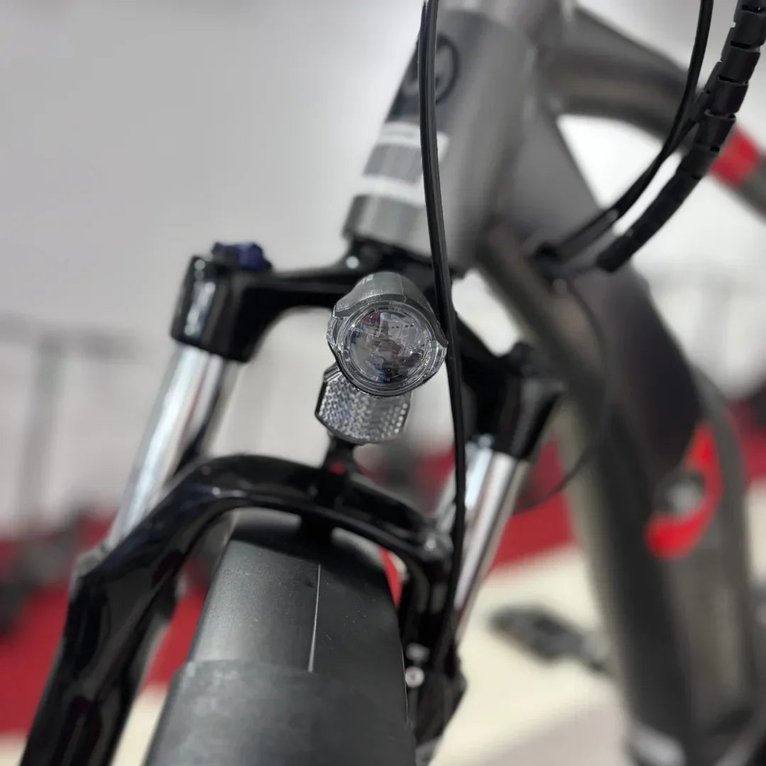 Električni bicikl MALAGUTI Carezza TR 4.0-BOSCH Motor
