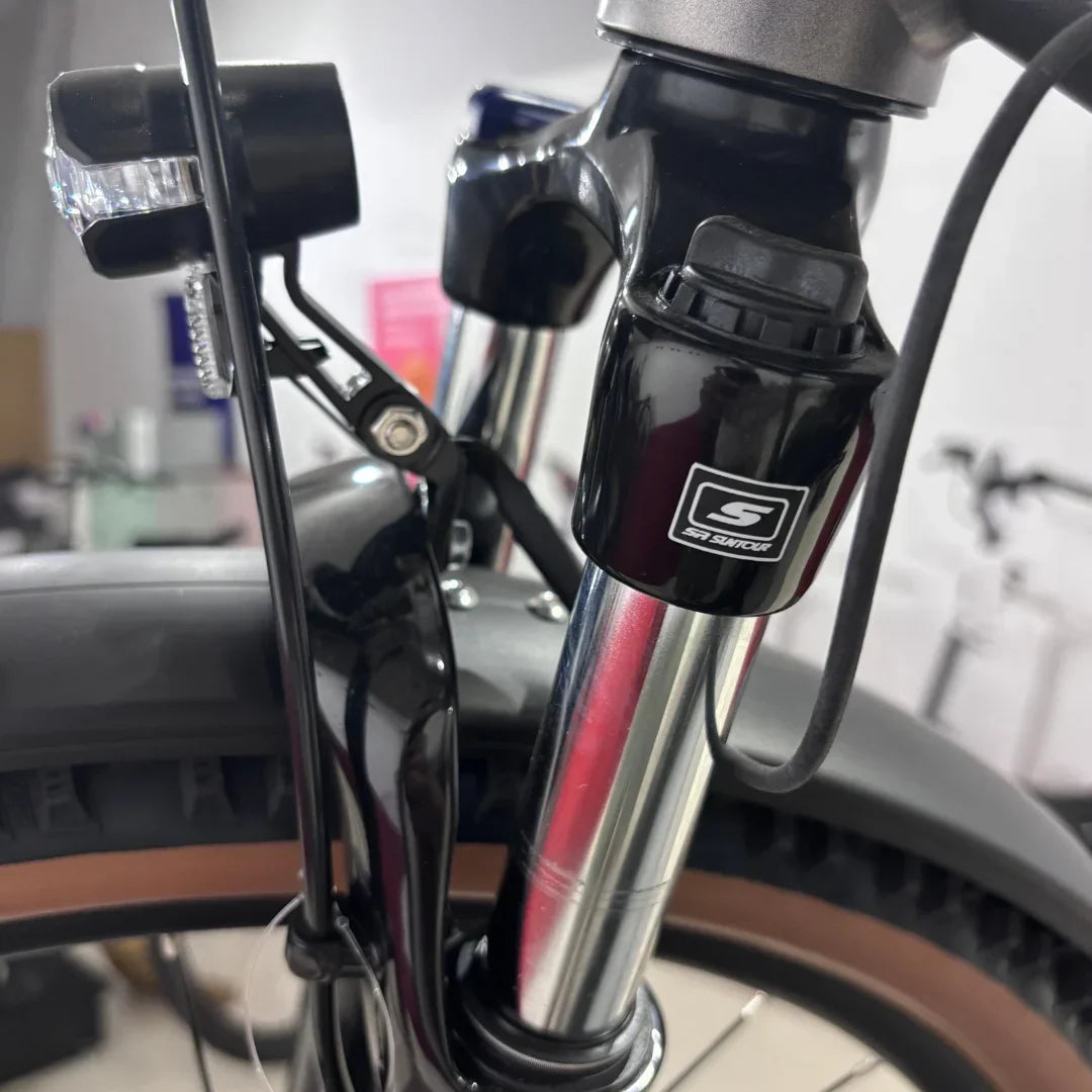 Električni bicikl MALAGUTI Carezza TR 4.0-BOSCH Motor
