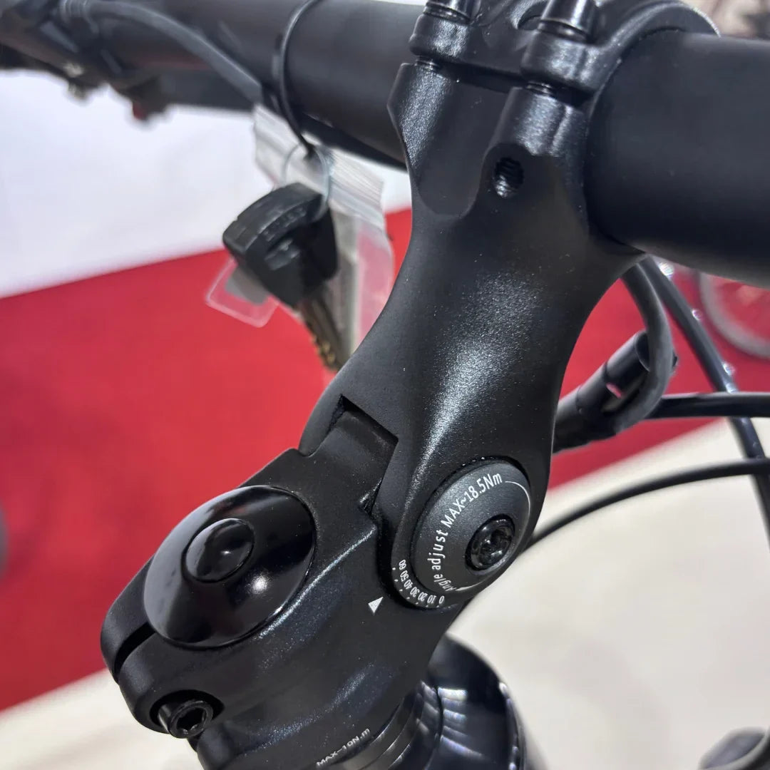 Električni bicikl MALAGUTI Carezza TR 4.0-BOSCH Motor