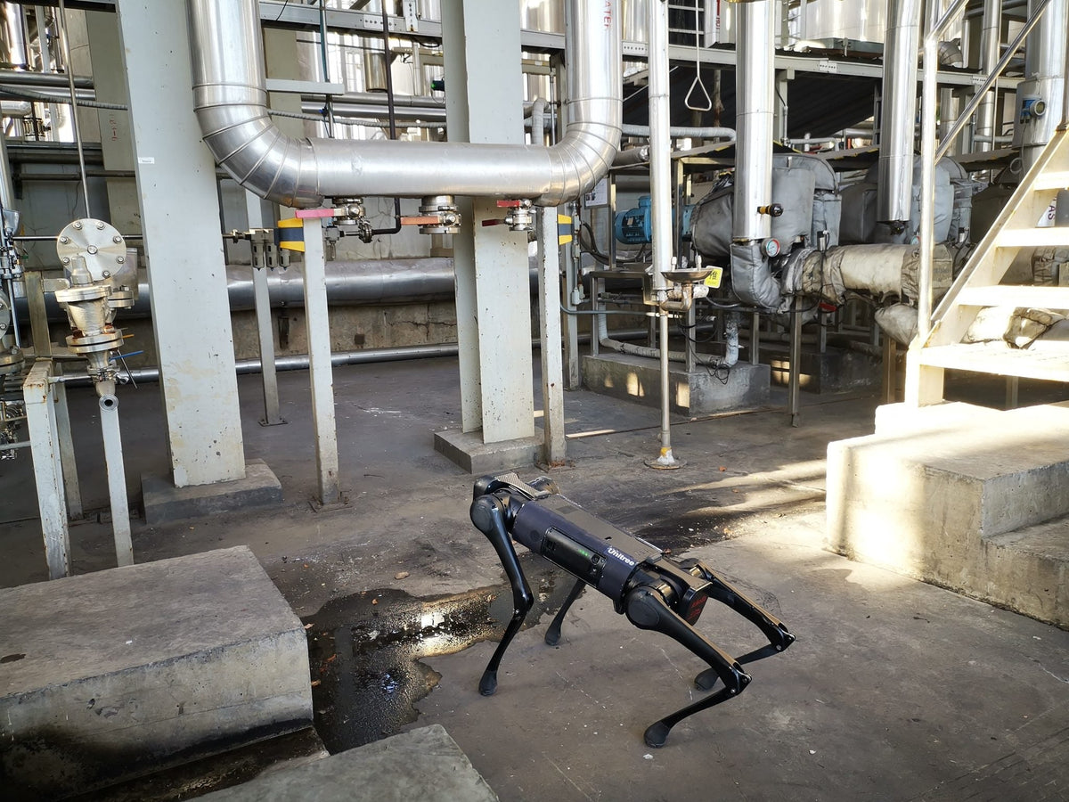 Crni četveronožni robot Unitree Aliengo u industrijskom postrojenju s metalnim cijevima