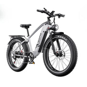 Električni bicikl Duotts F26 Lite sivi, pogled s boka na fat bike s debelim gumama i prtljažnikom