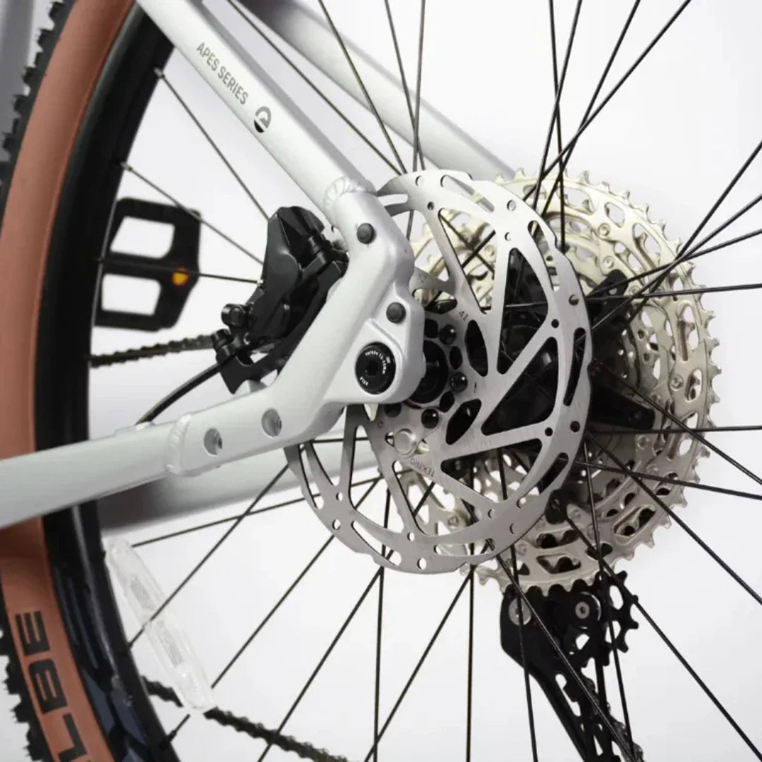 Detalj stražnjeg kotača s disk kočnicom električnog bicikla Econo Gams MTB 29 EEC6 2026