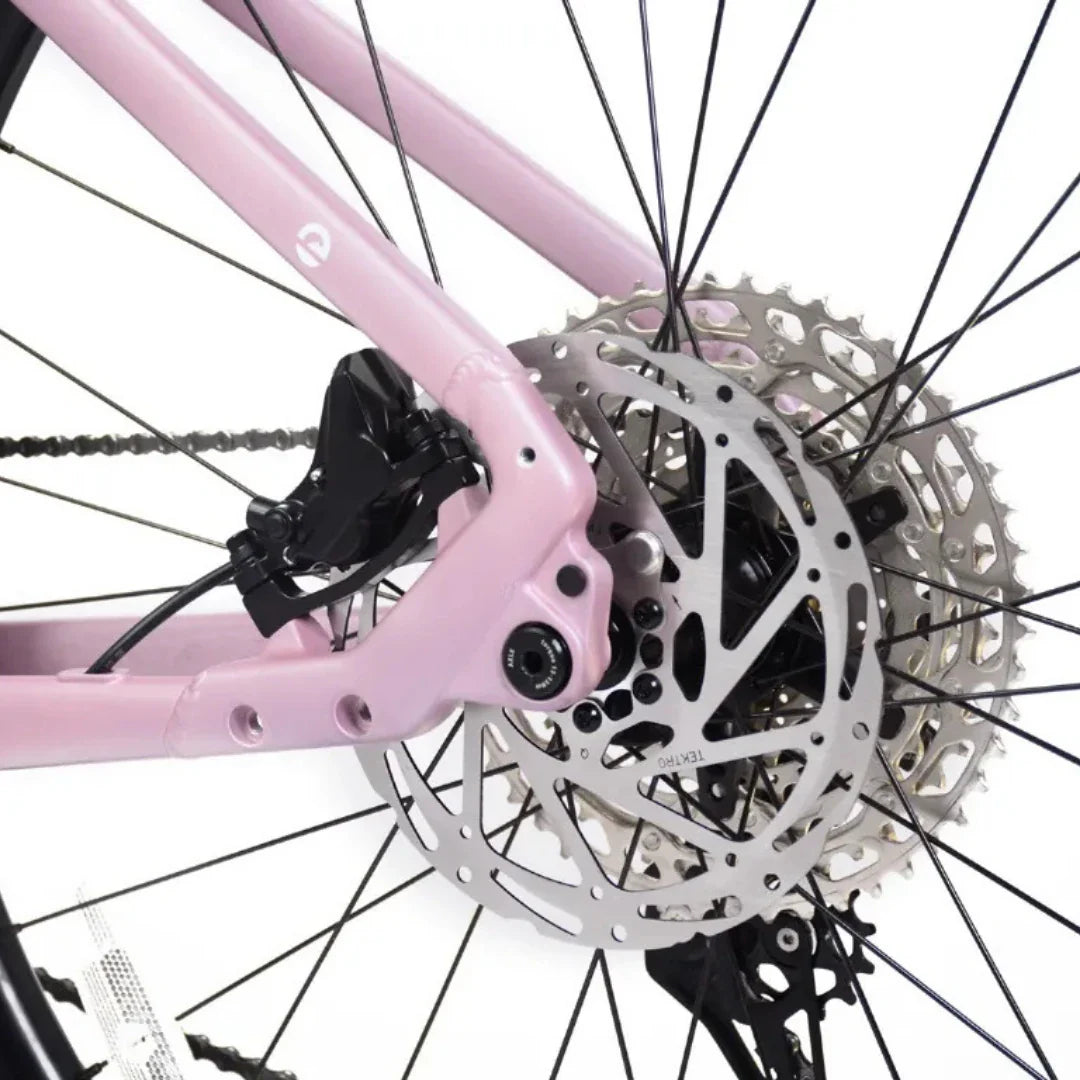 Detalj stražnjeg kotača disk kočnice i rame Econo Gams MTB 29 električnog bicikla ružičaste boje