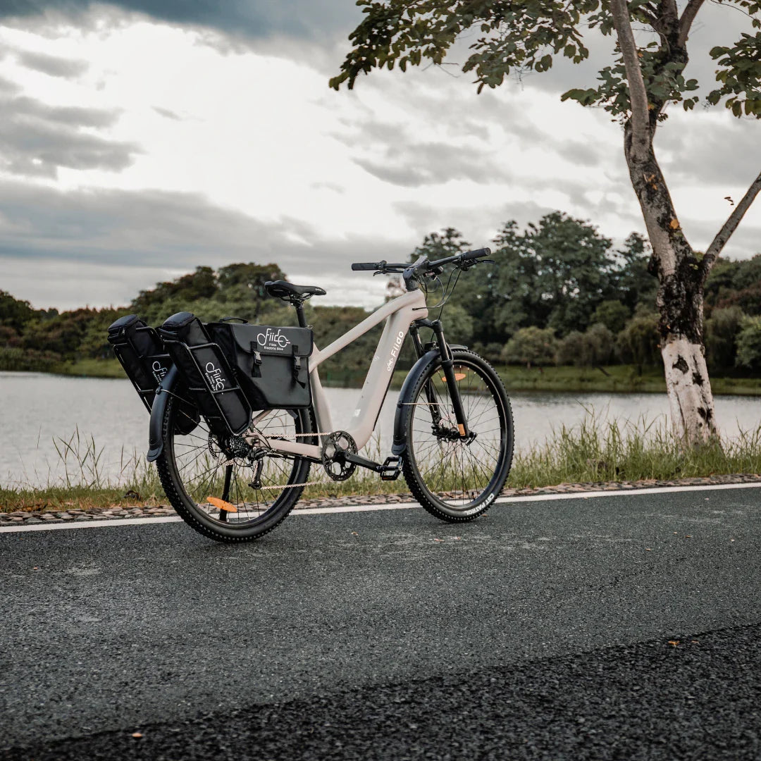 Bež električni bicikl Fiido Nomad s bočnim torbama na stazi uz jezero, pogled straga