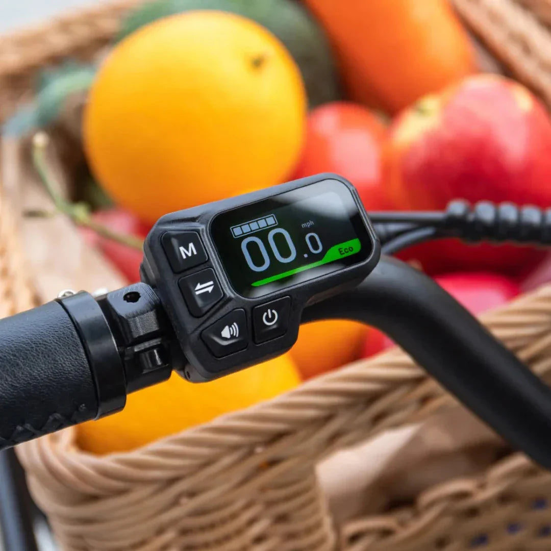 LCD zaslon i kontrolne tipke na upravljaču električnog bicikla Fiido T2
