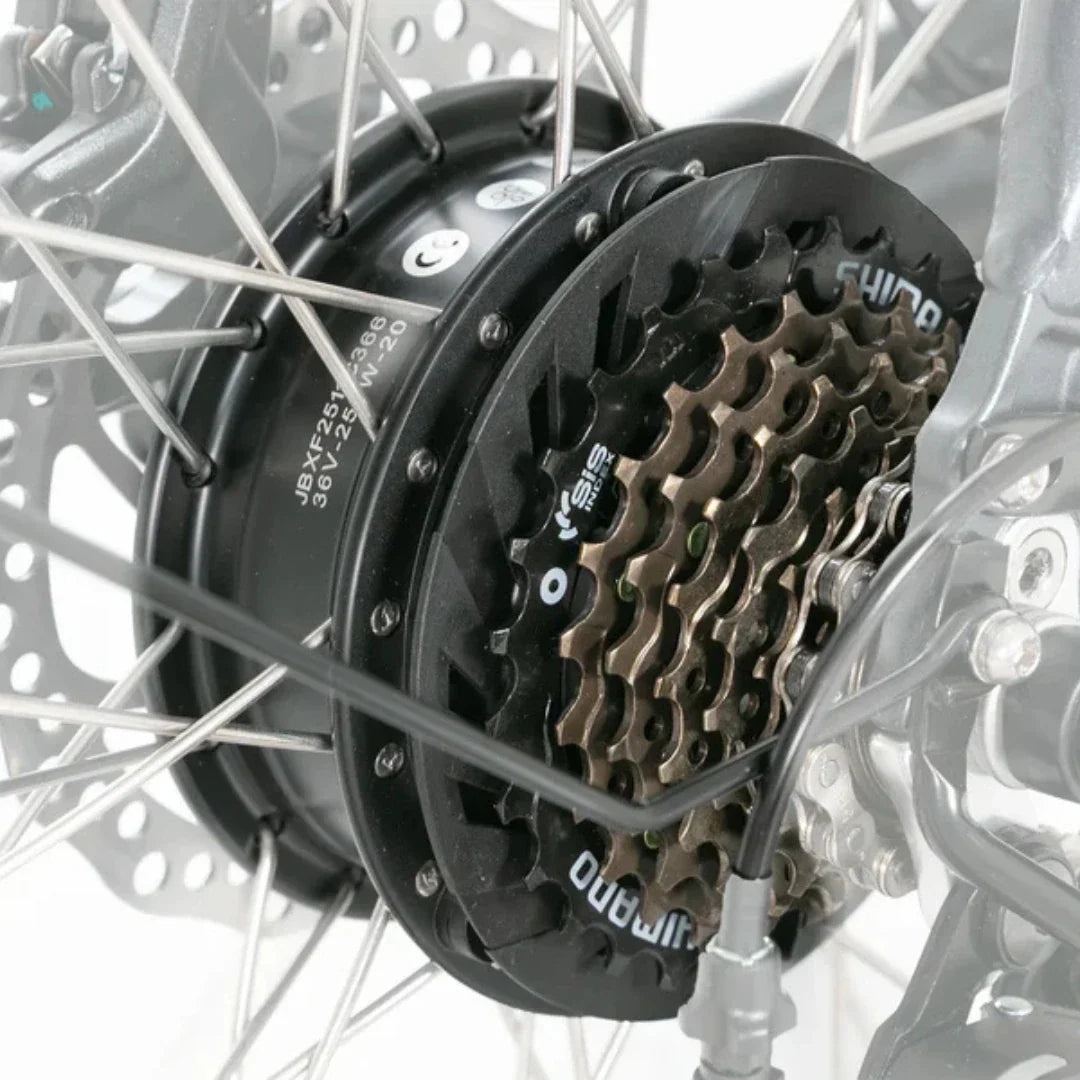 Električni motor stražnjeg kotača Jobobike Sam sa Shimano kazetom detaljan prikaz