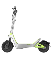 Električni romobil Streetbooster Castor srebrno-zelene boje, bočni pogled na cijeli model