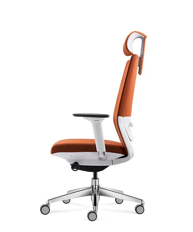 Ergonomska uredska stolica Ergovision Comfort