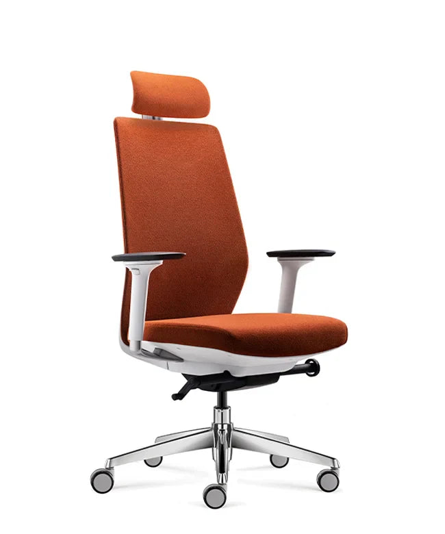 Ergonomska uredska stolica Ergovision Comfort