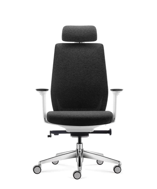 Ergonomska uredska stolica Ergovision Comfort