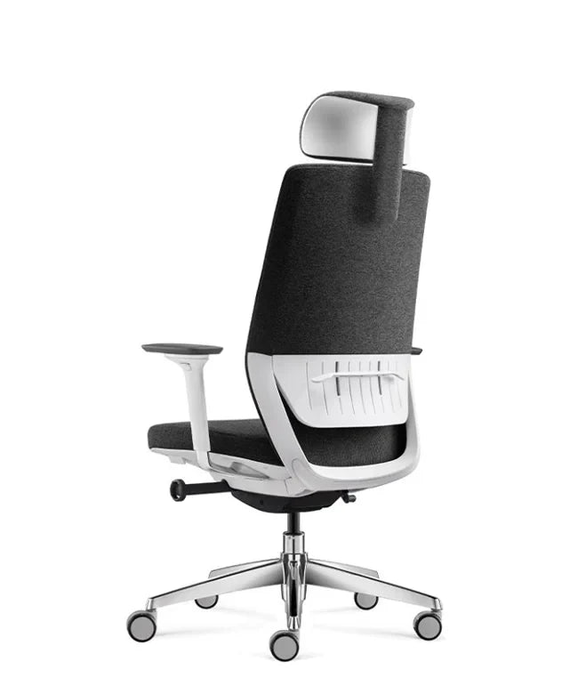 Ergonomska uredska stolica Ergovision Comfort