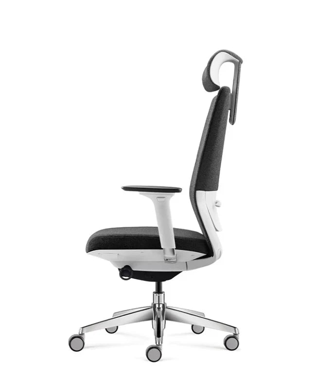 Ergonomska uredska stolica Ergovision Comfort