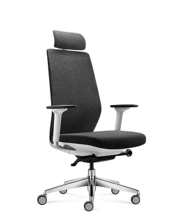 Ergonomska uredska stolica Ergovision Comfort