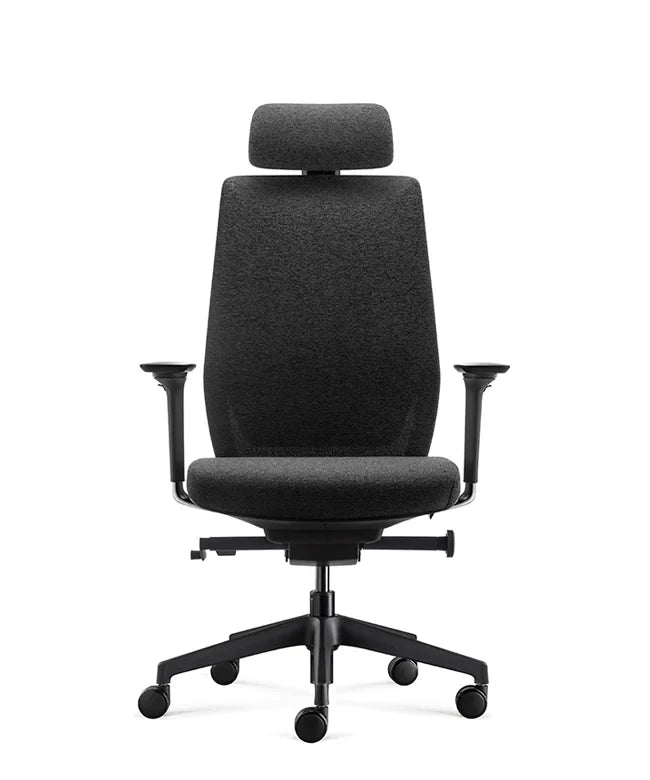 Ergonomska uredska stolica Ergovision Comfort