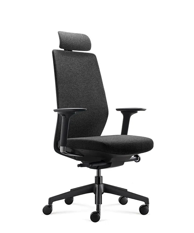 Ergonomska uredska stolica Ergovision Comfort
