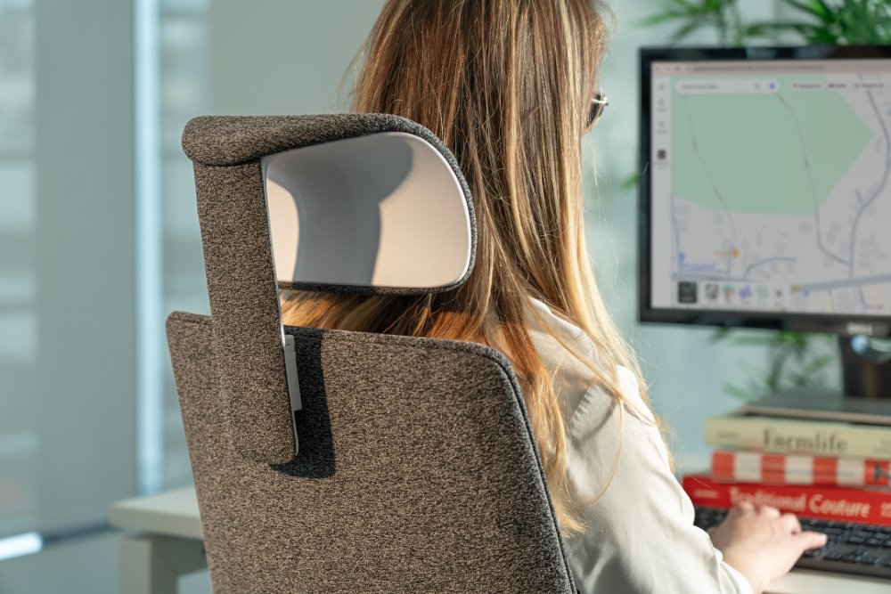 Ergonomska uredska stolica Ergovision Comfort