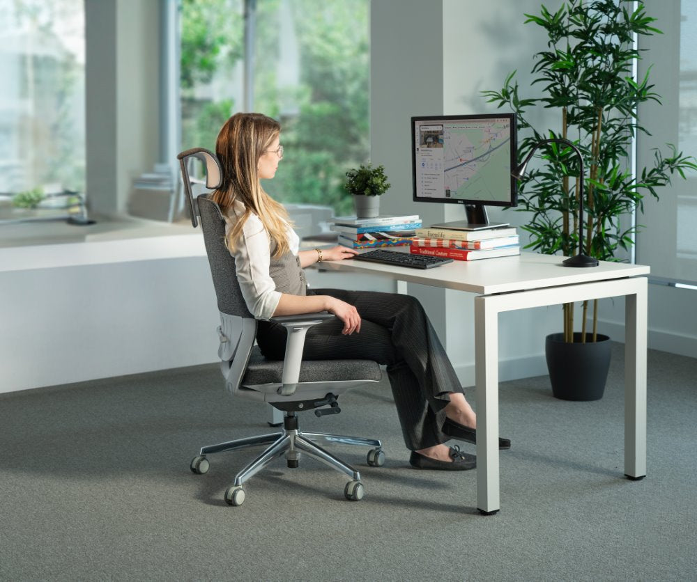 Ergonomska uredska stolica Ergovision Comfort