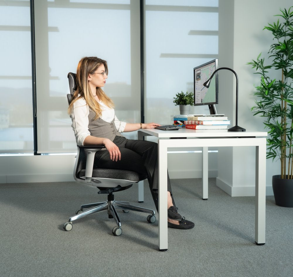 Ergonomska uredska stolica Ergovision Comfort