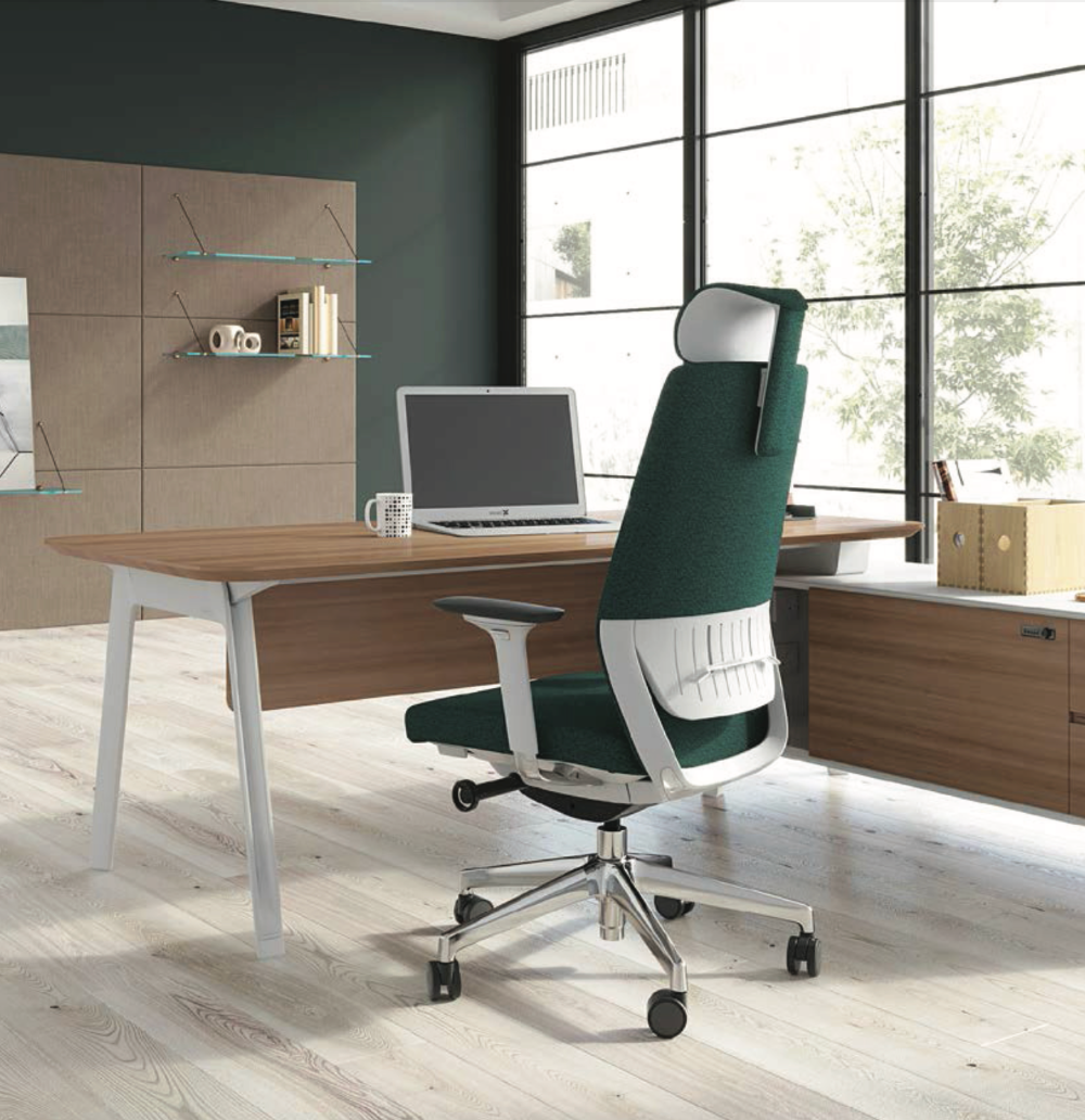 Ergonomska uredska stolica Ergovision Comfort