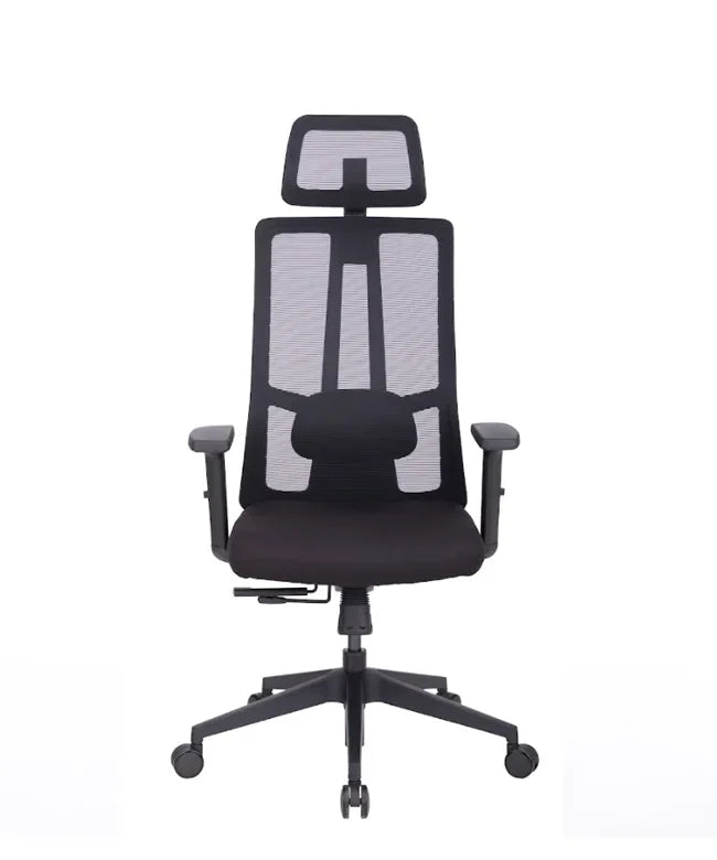 Ergonomska uredska stolica Ergovision Eiffel Lite