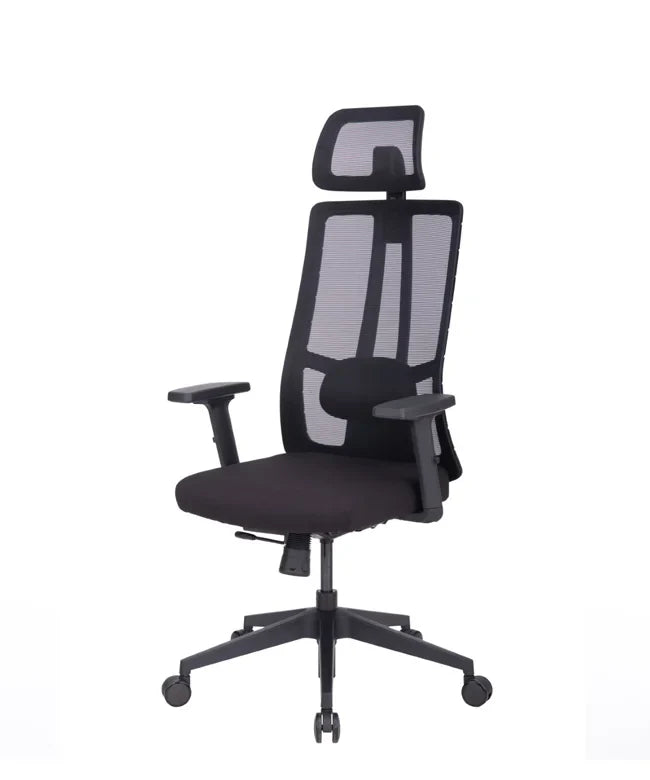 Ergonomska uredska stolica Ergovision Eiffel Lite