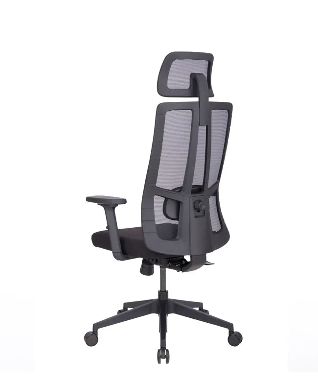 Ergonomska uredska stolica Ergovision Eiffel Lite