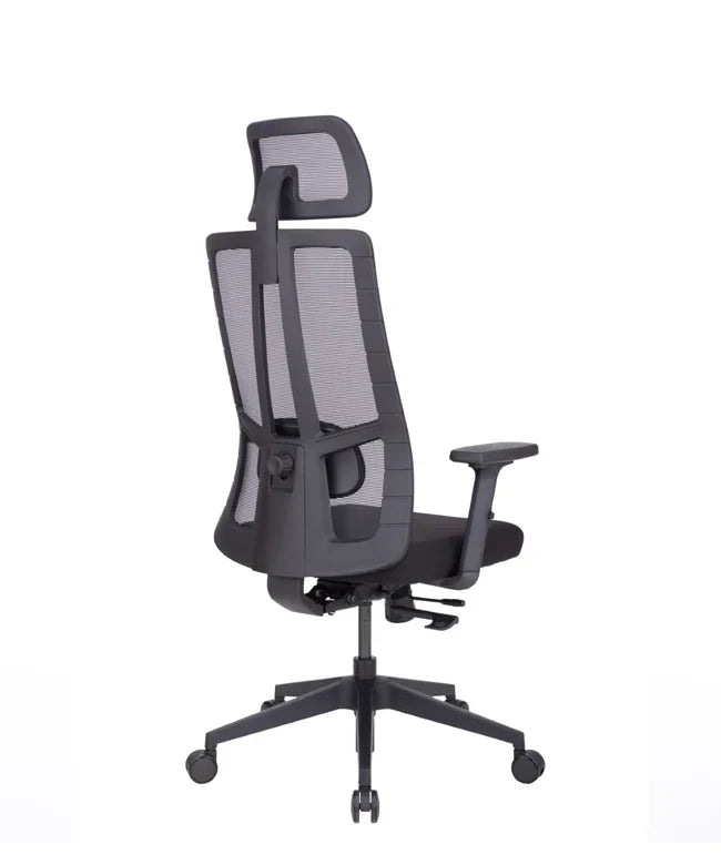 Ergonomska uredska stolica Ergovision Eiffel Lite