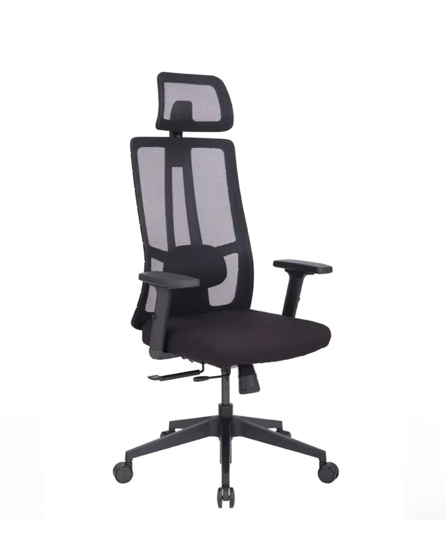 Ergonomska uredska stolica Ergovision Eiffel Lite