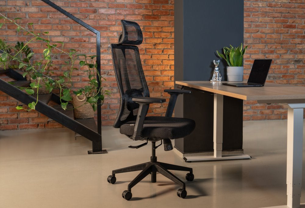 Ergonomska uredska stolica Ergovision Eiffel Lite
