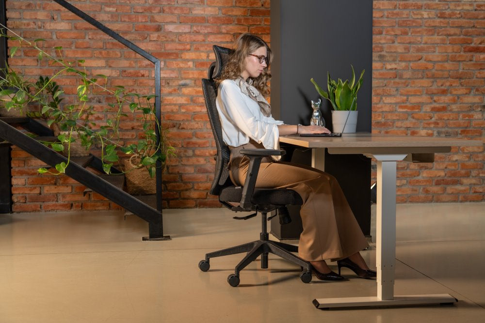 Ergonomska uredska stolica Ergovision Eiffel Lite