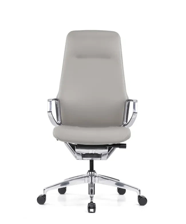 Ergonomska uredska stolica Ergovision Elite