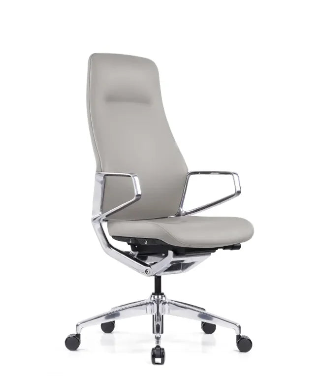Ergonomska uredska stolica Ergovision Elite