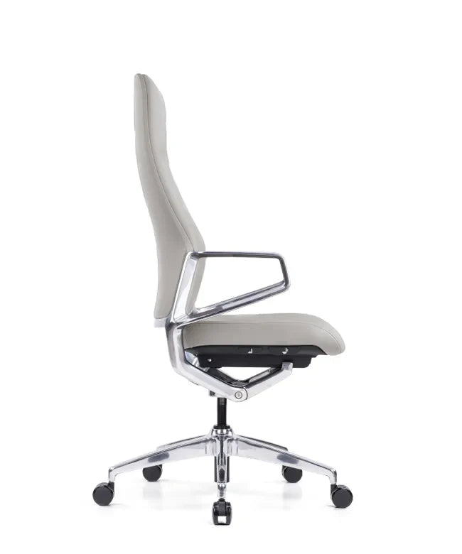 Ergonomska uredska stolica Ergovision Elite