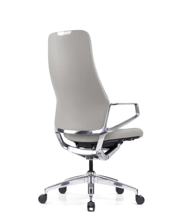 Ergonomska uredska stolica Ergovision Elite
