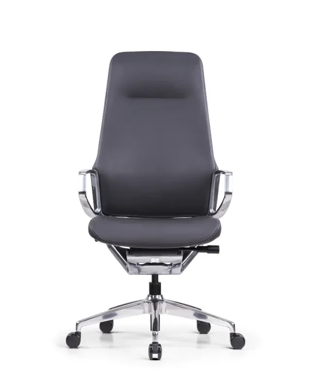 Ergonomska uredska stolica Ergovision Elite