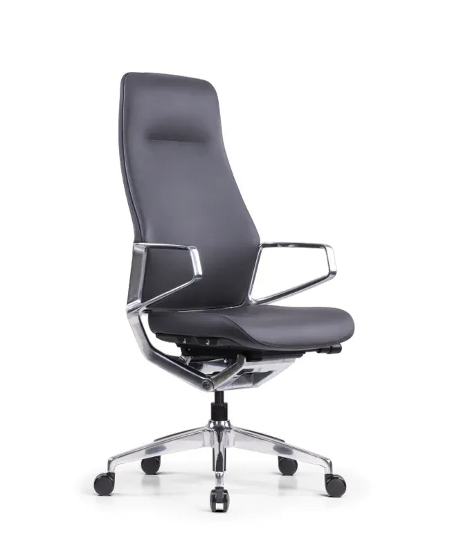 Ergonomska uredska stolica Ergovision Elite