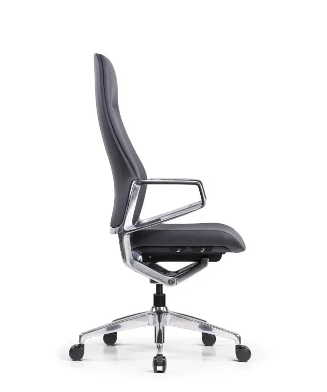 Ergonomska uredska stolica Ergovision Elite