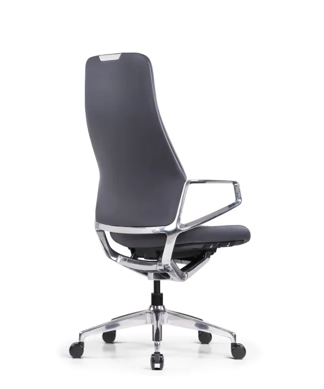 Ergonomska uredska stolica Ergovision Elite