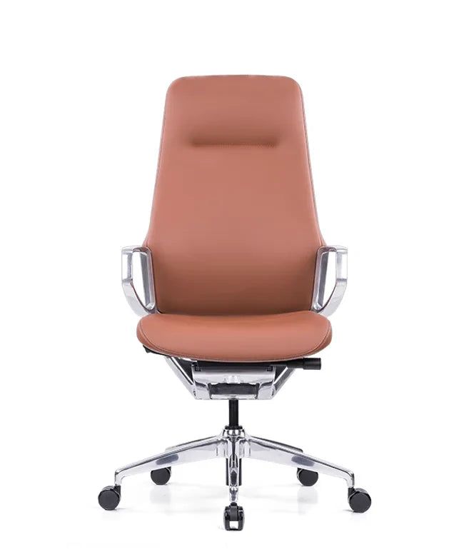 Ergonomska uredska stolica Ergovision Elite