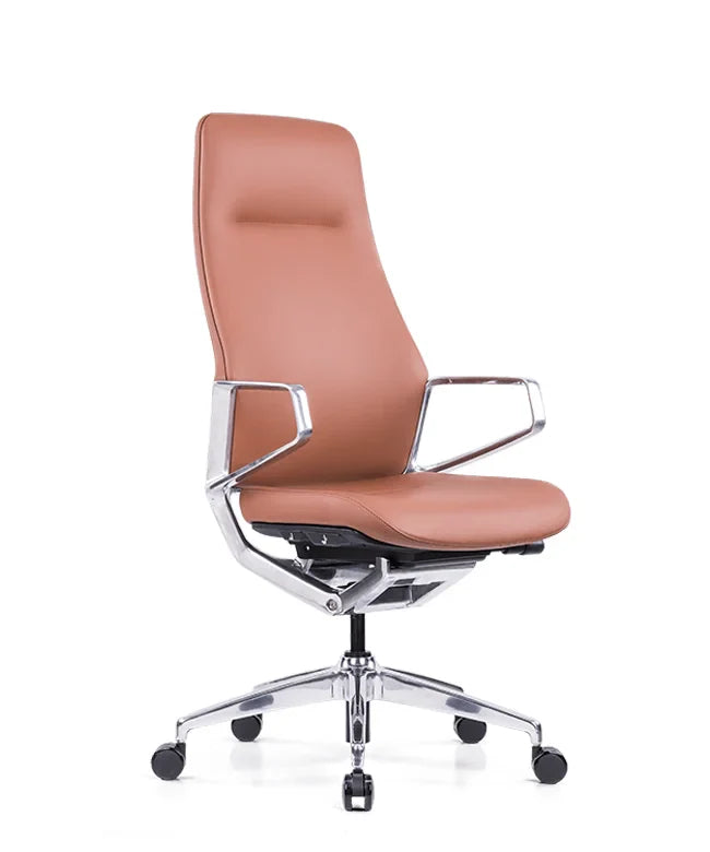 Ergonomska uredska stolica Ergovision Elite