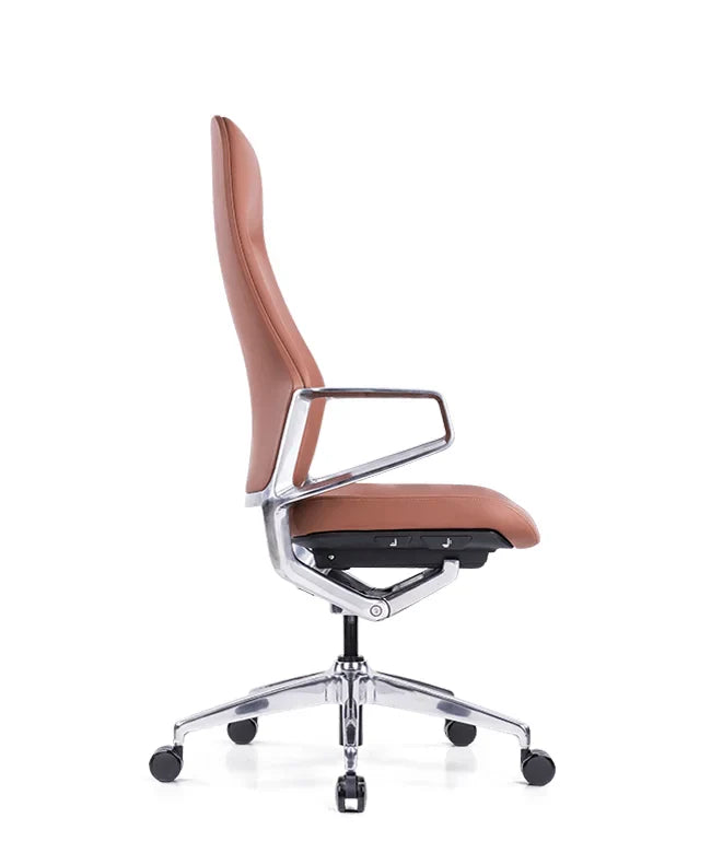 Ergonomska uredska stolica Ergovision Elite