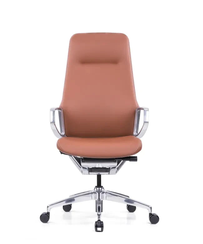 Ergonomska uredska stolica Ergovision Elite