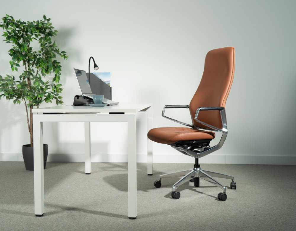 Ergonomska uredska stolica Ergovision Elite
