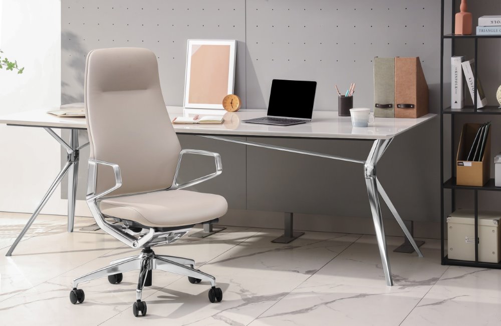 Ergonomska uredska stolica Ergovision Elite