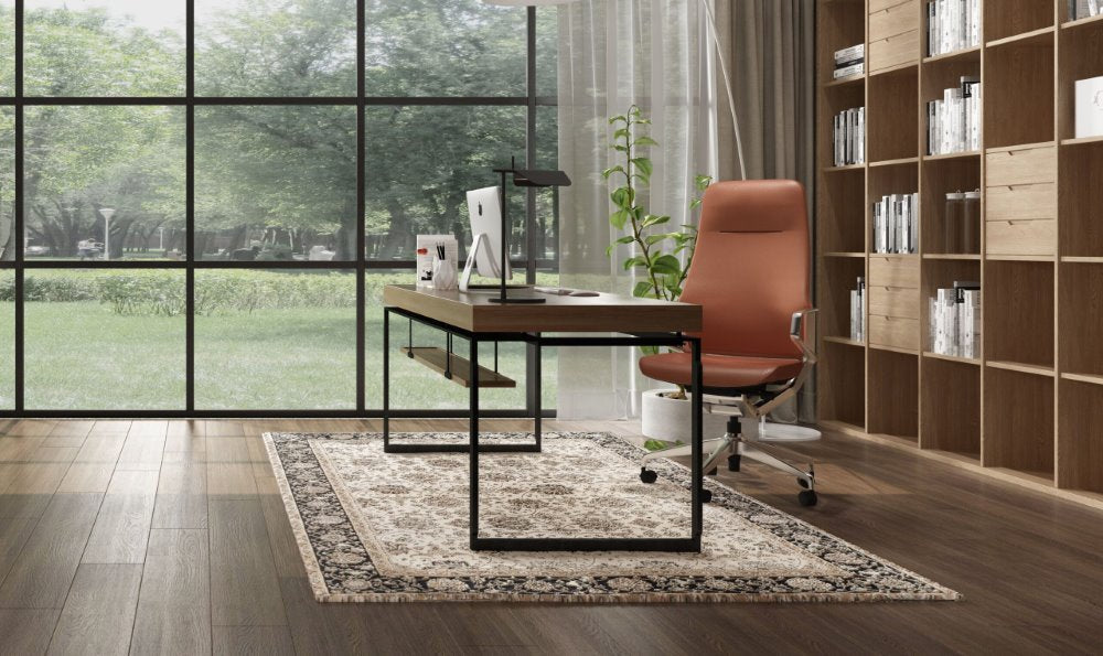 Ergonomska uredska stolica Ergovision Elite
