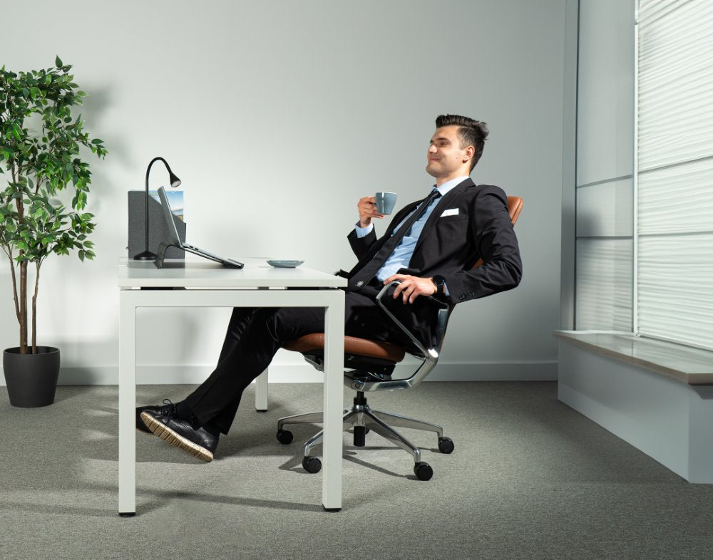 Ergonomska uredska stolica Ergovision Elite